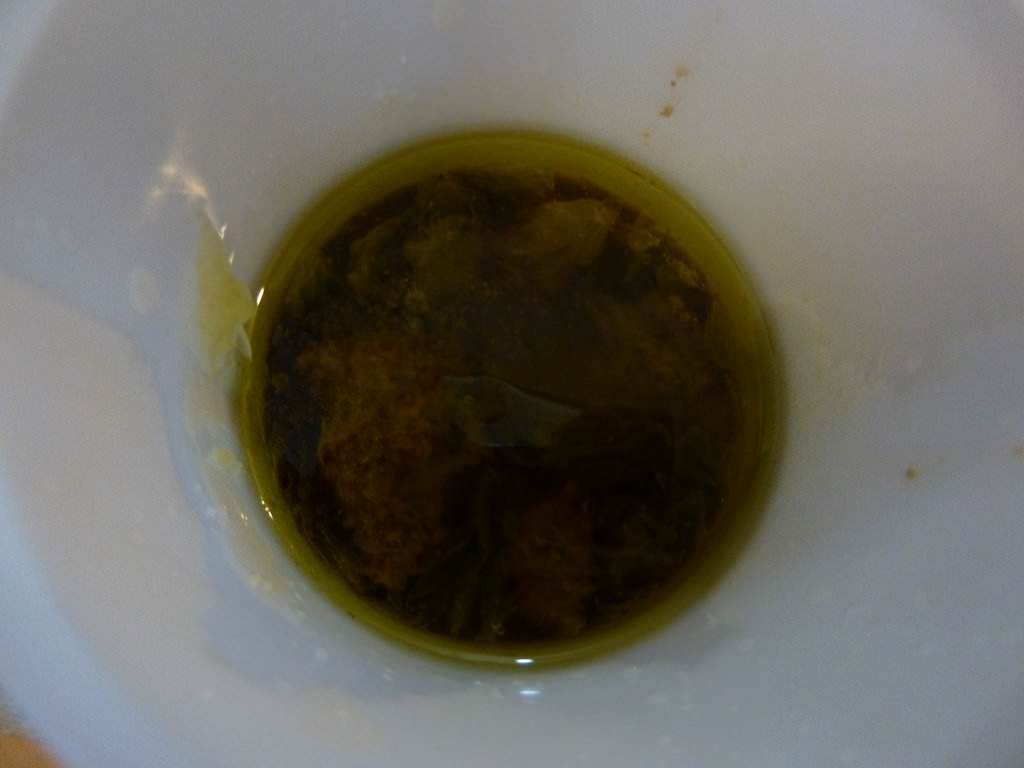 P1020238.JPG