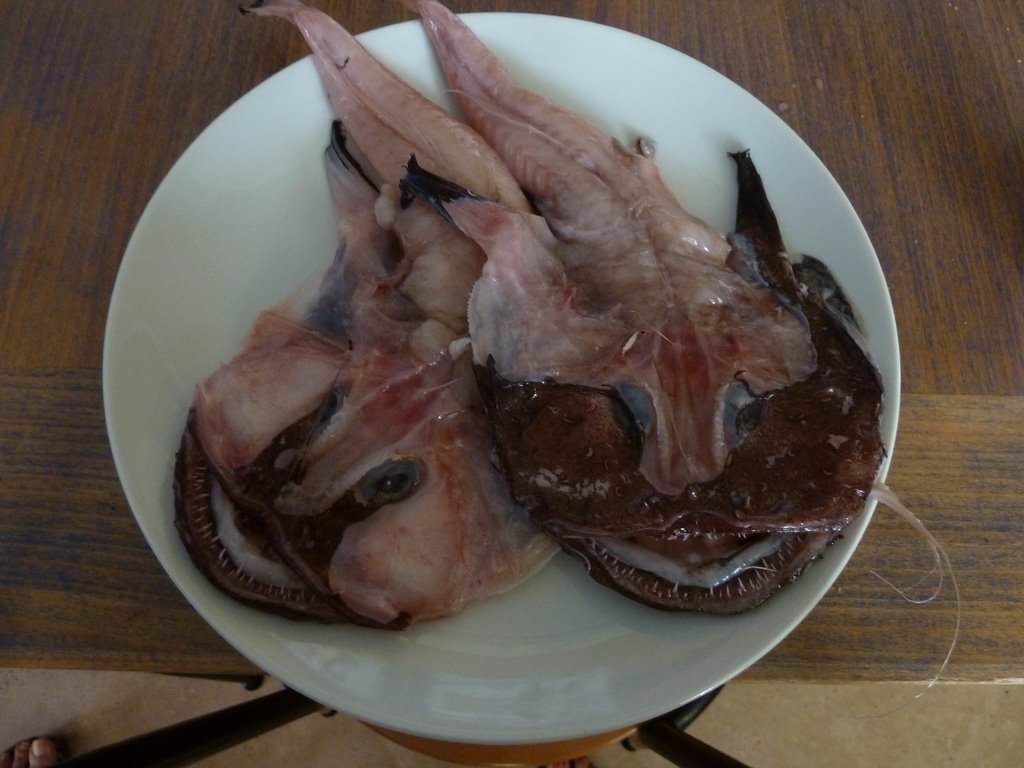 P1020437.JPG