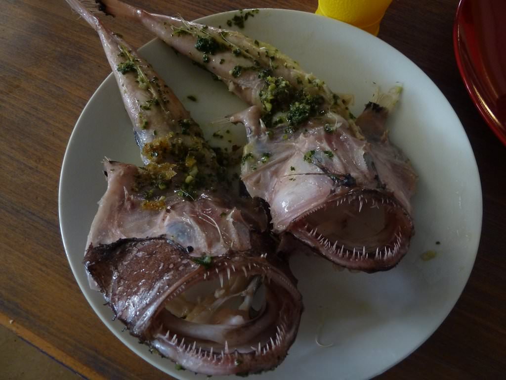 P1020441.JPG