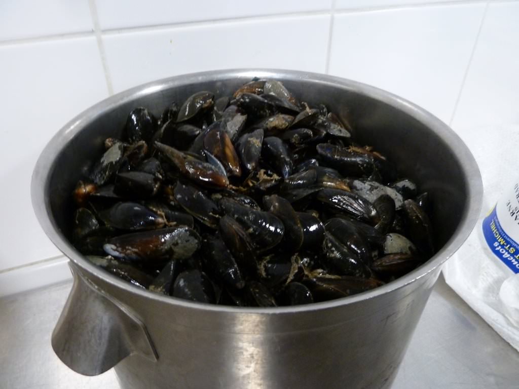 P1030459.JPG