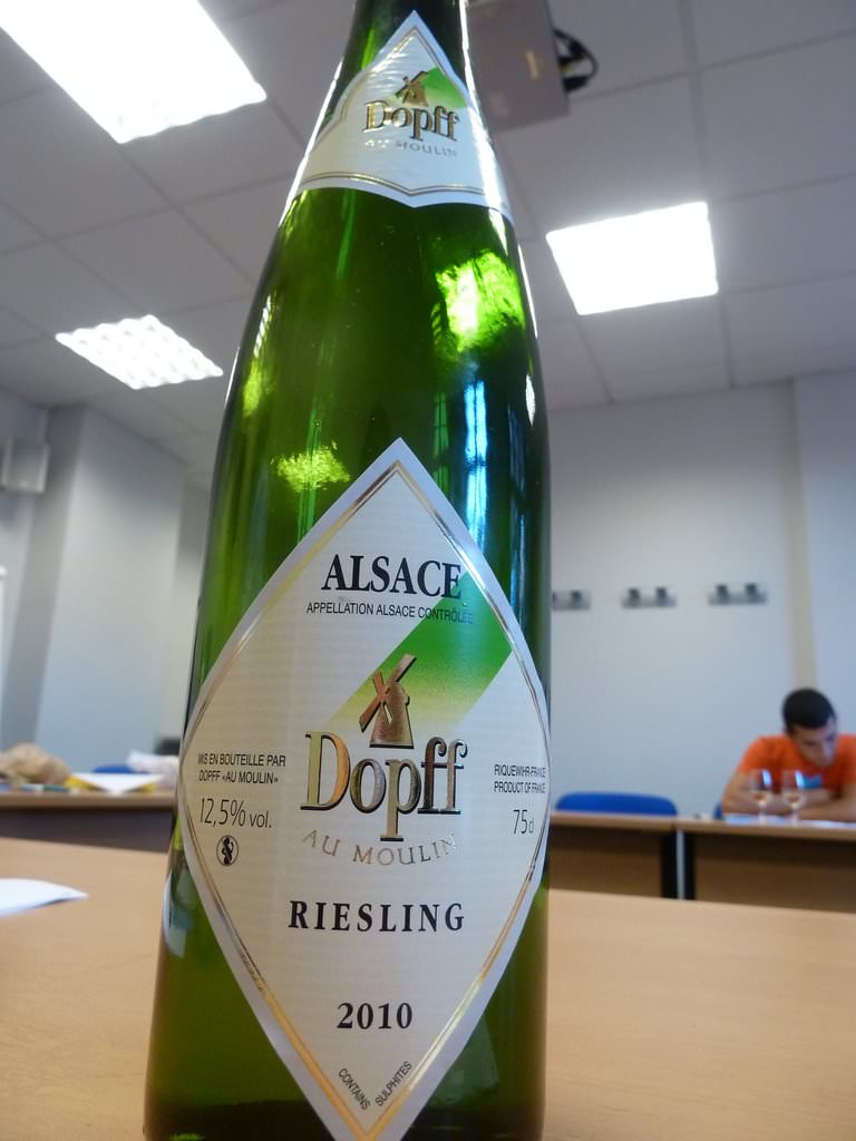 P1040986.JPG