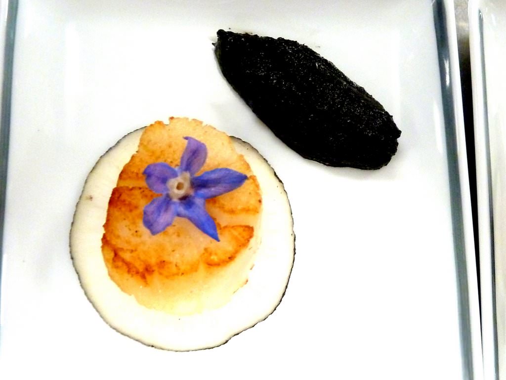P1070162.JPG