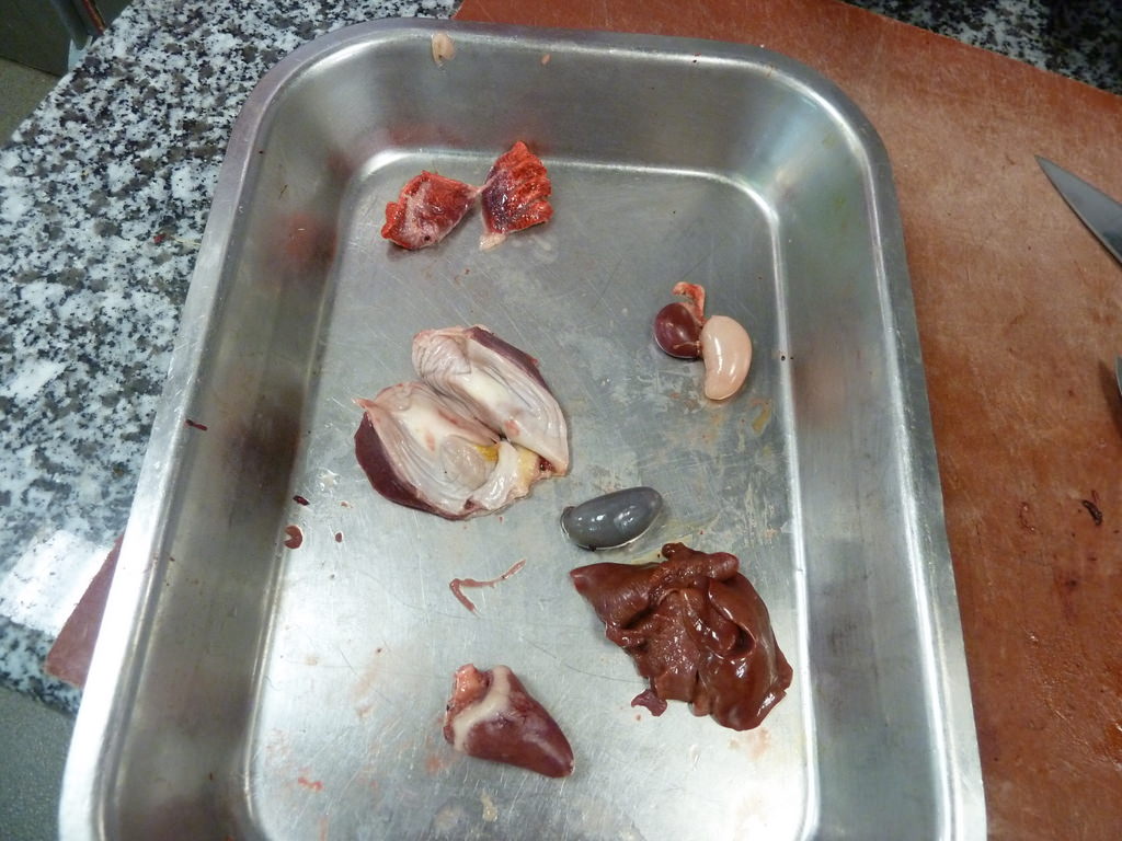 P1070748