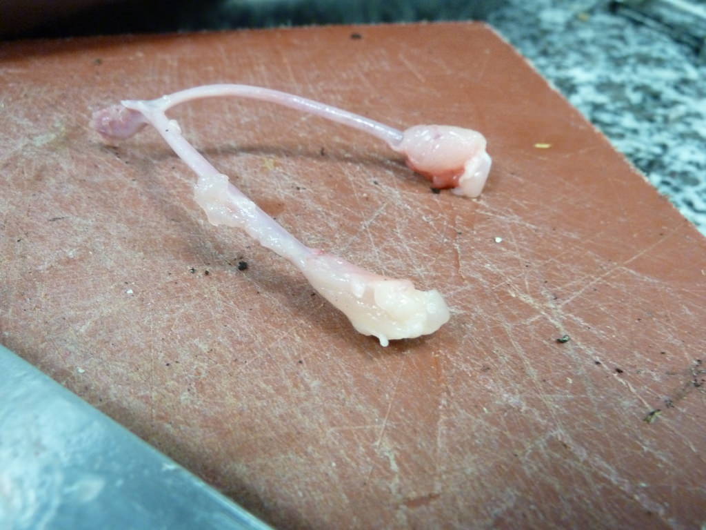 P1070750