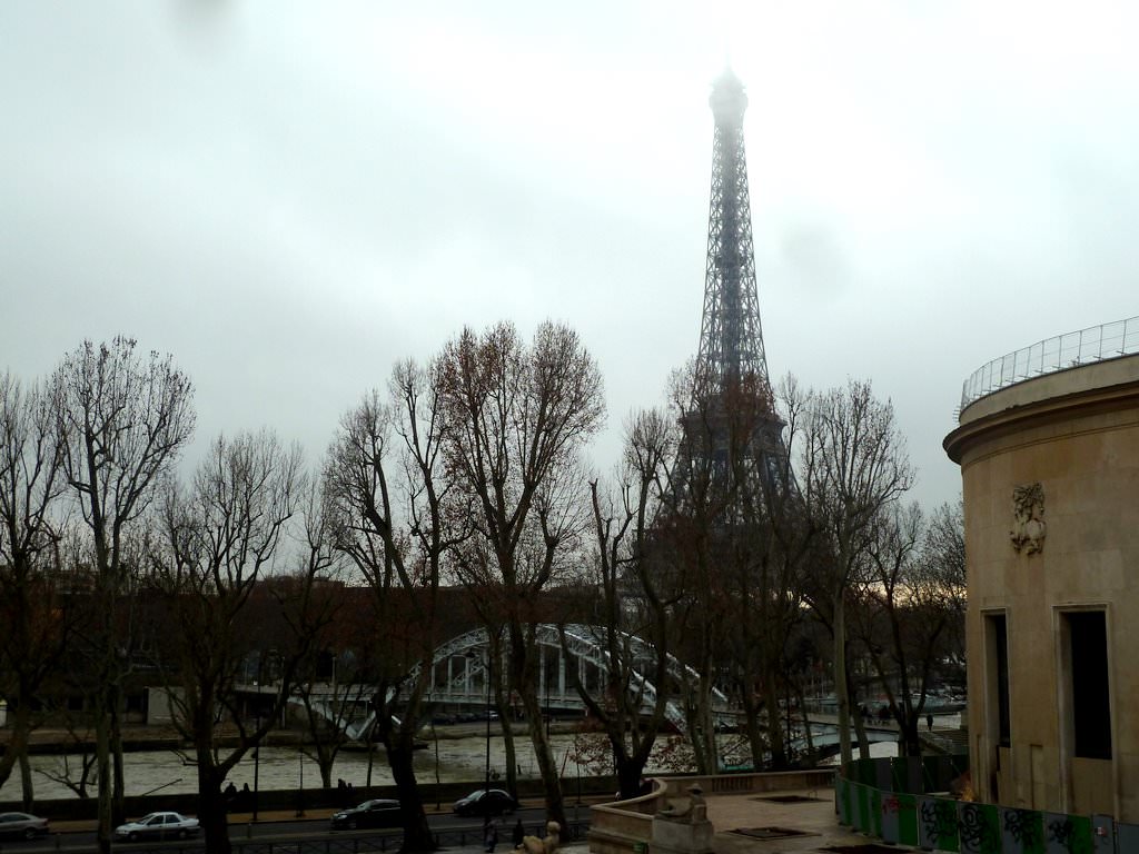 P1100637.JPG