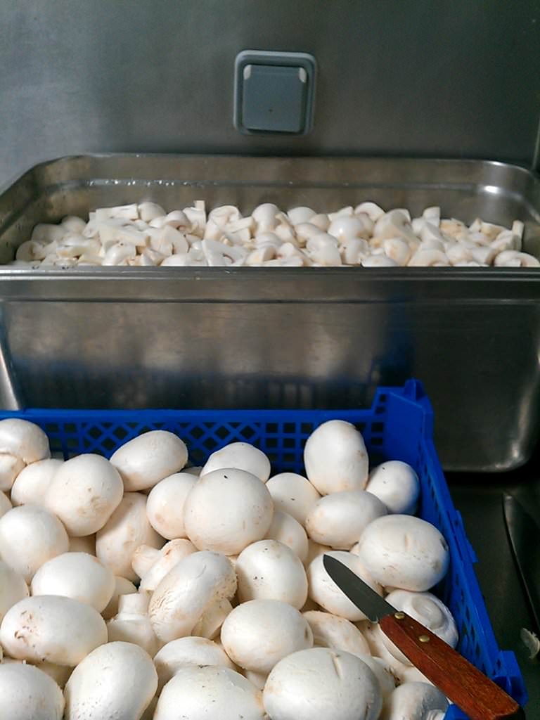 IMAG0891.jpg