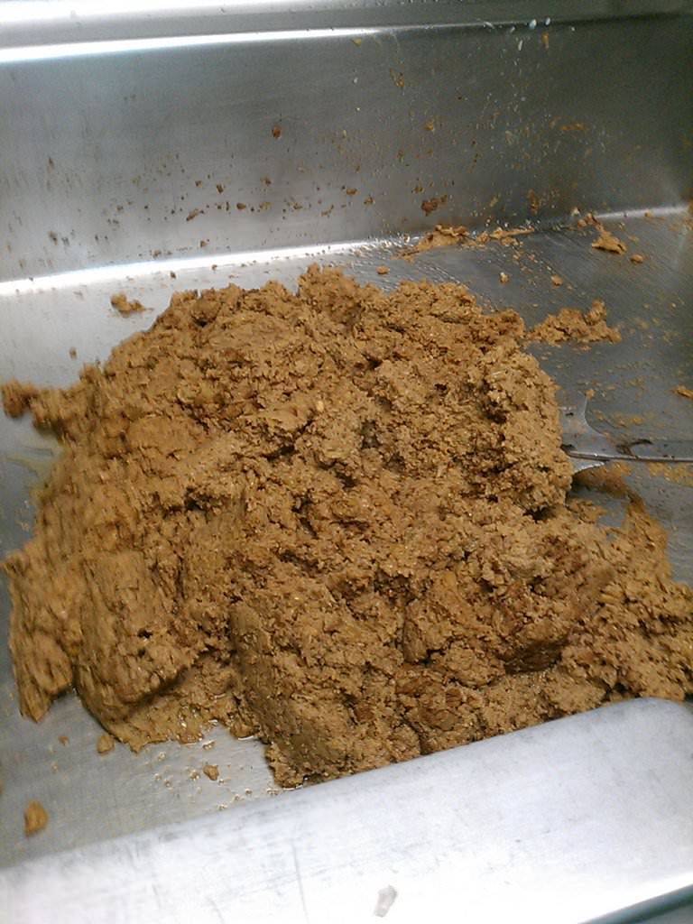 IMAG0892.jpg
