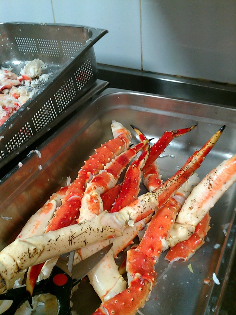 IMAG0938.jpg