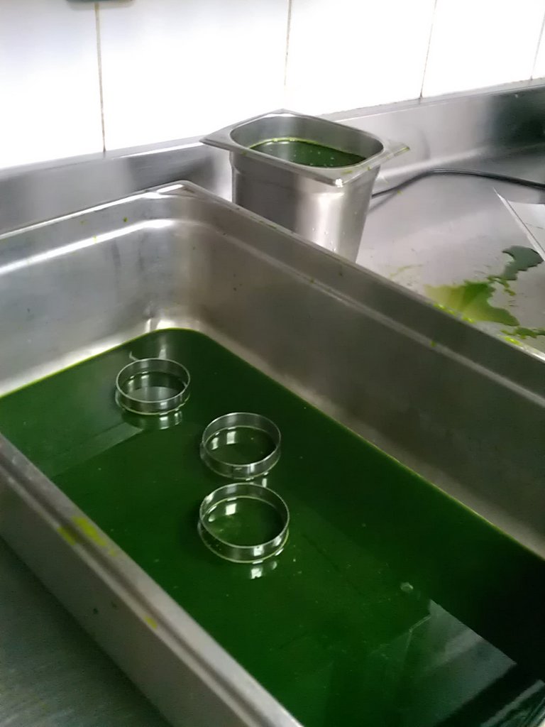 IMAG0995.jpg