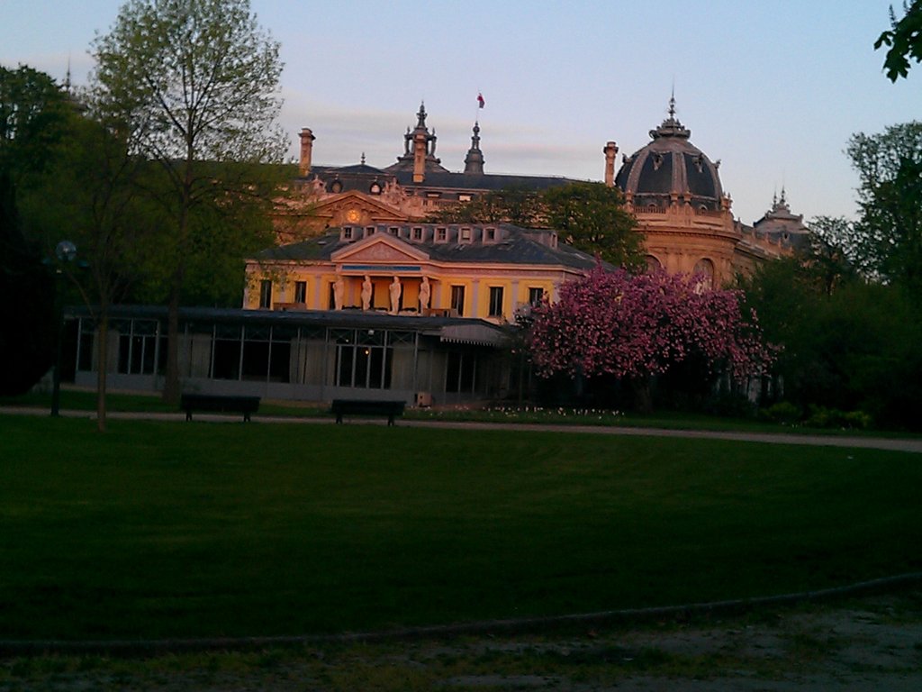 IMAG1188.jpg image