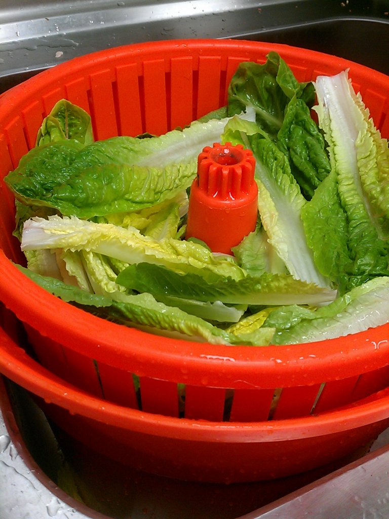 IMAG1214.jpg image