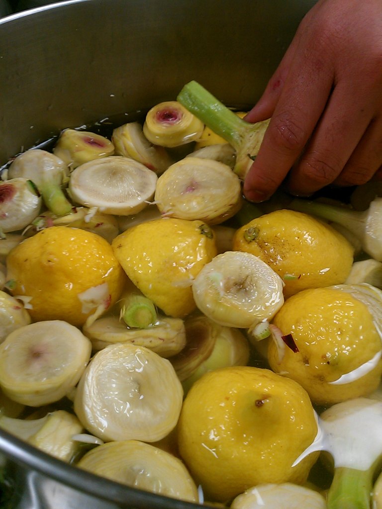 IMAG1304.jpg image