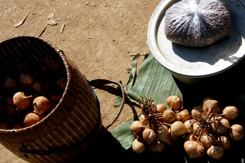 Jicama in the market